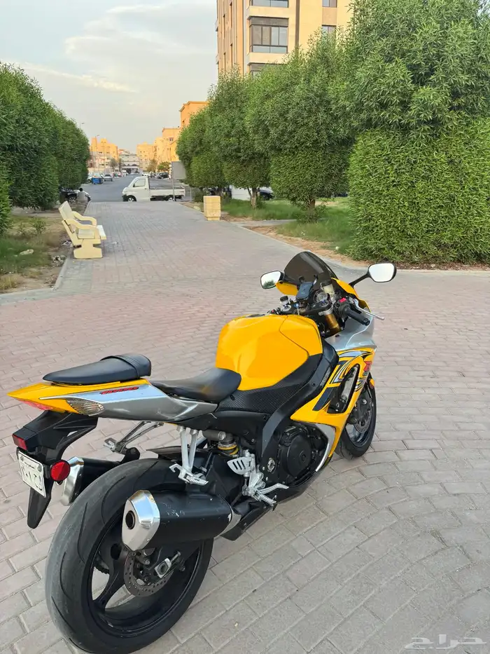 دباب ريس مقاس1000 3
