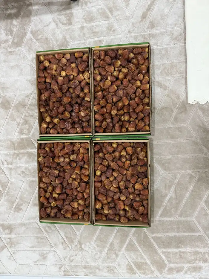 تمر جلكسي حبة وسط كبير 0