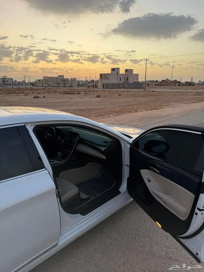 افلون 2020 ممشى 91 13