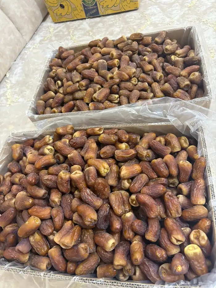برني العيص 4