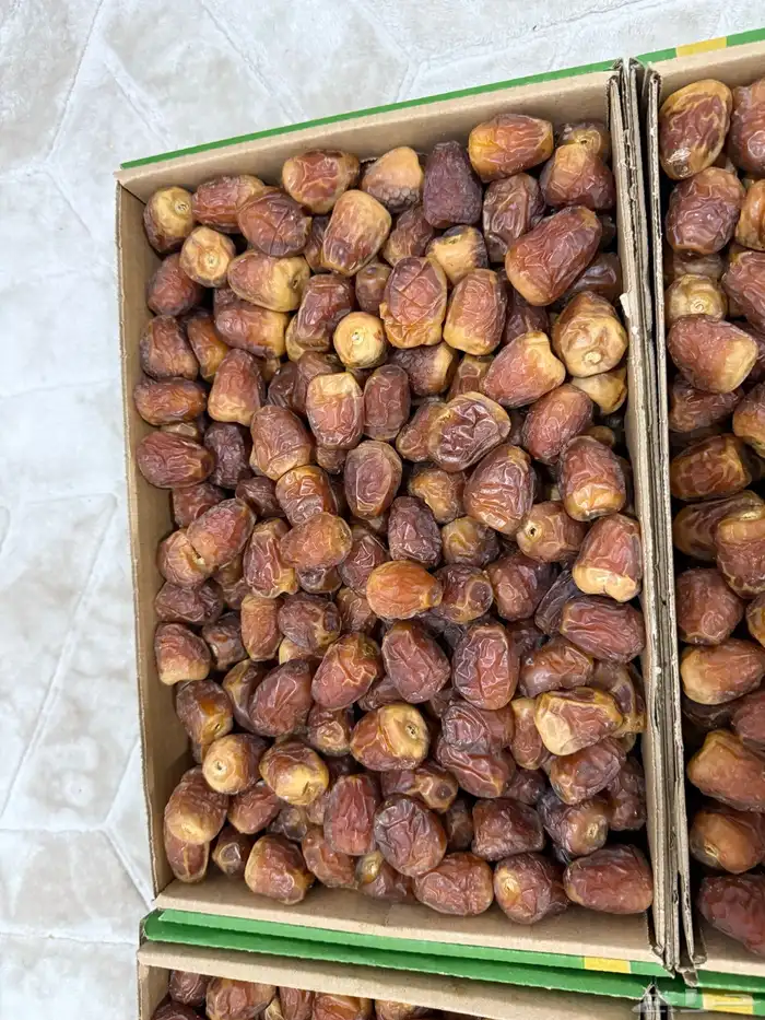 تمر جلكسي حبة وسط كبير 4