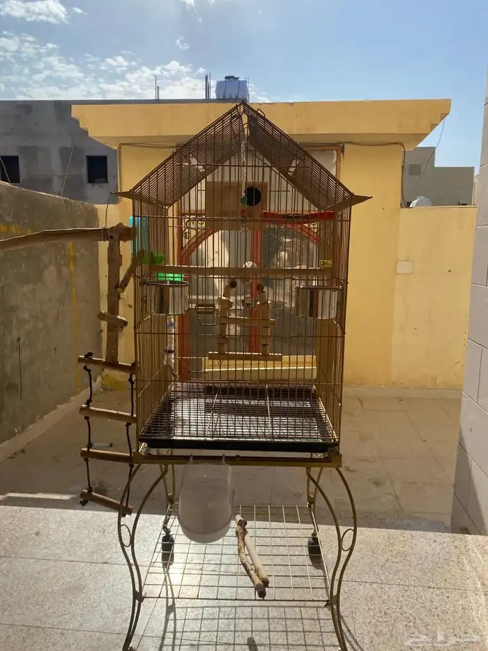 قفص 1