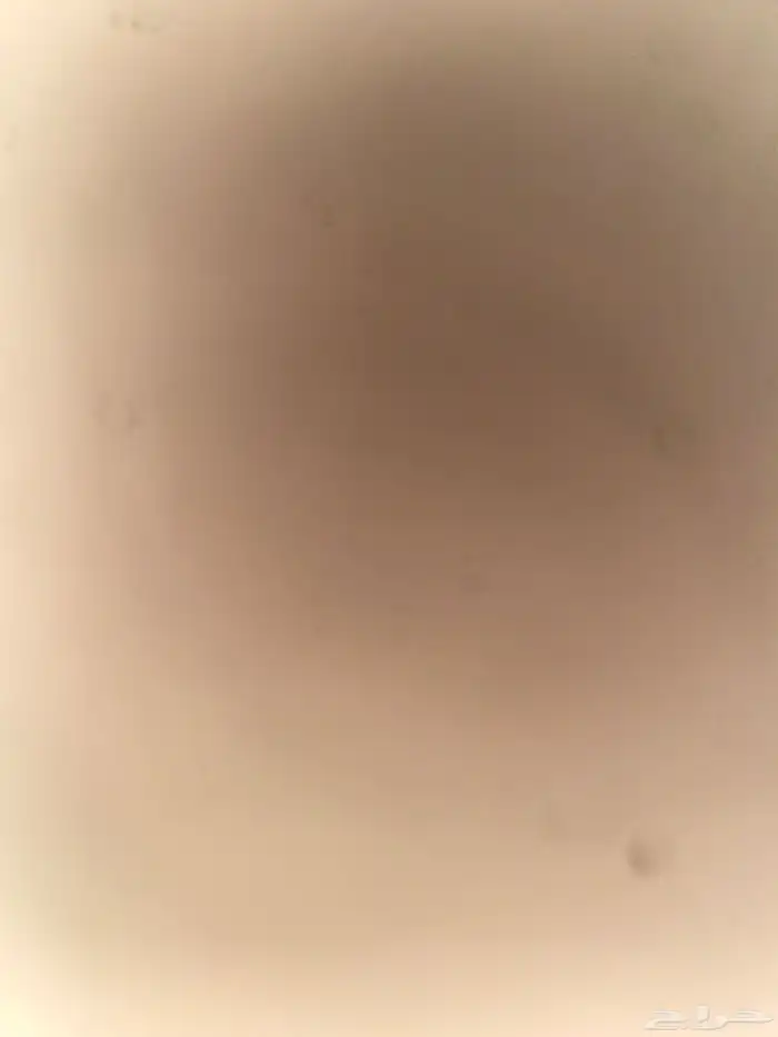 مرفوعه ف احكام 0