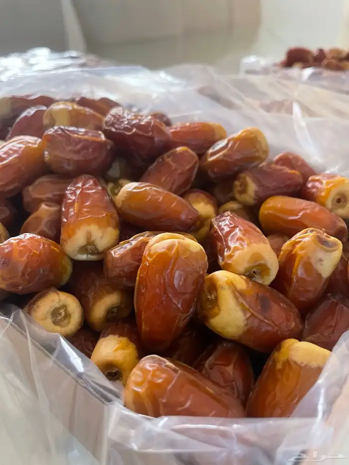 صقعي فاخر جامبو طلبيات خاصة 2
