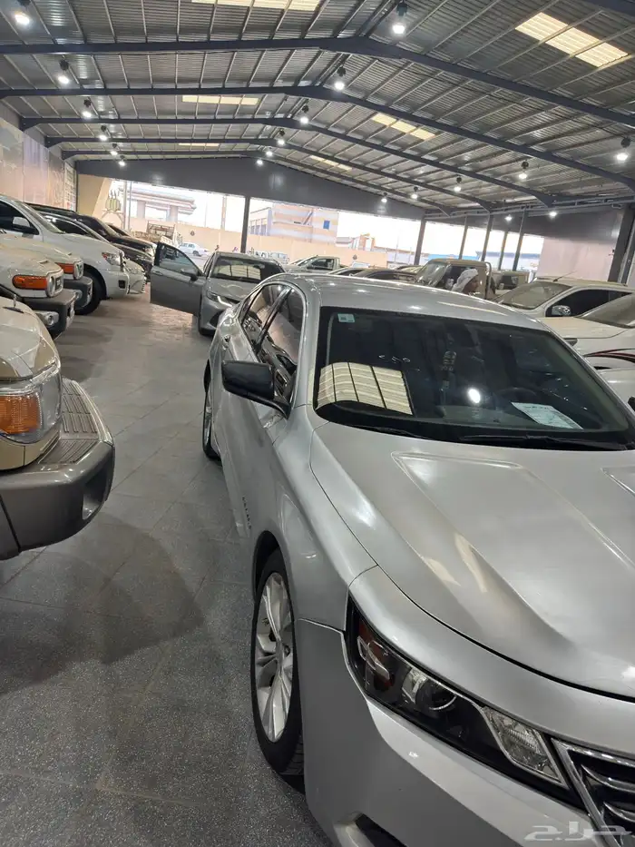 امبالا نظيف نرغب البدل 1