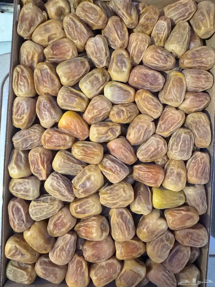 تمر سكري جالكسي فاخر ومفتل درجة اولى 7