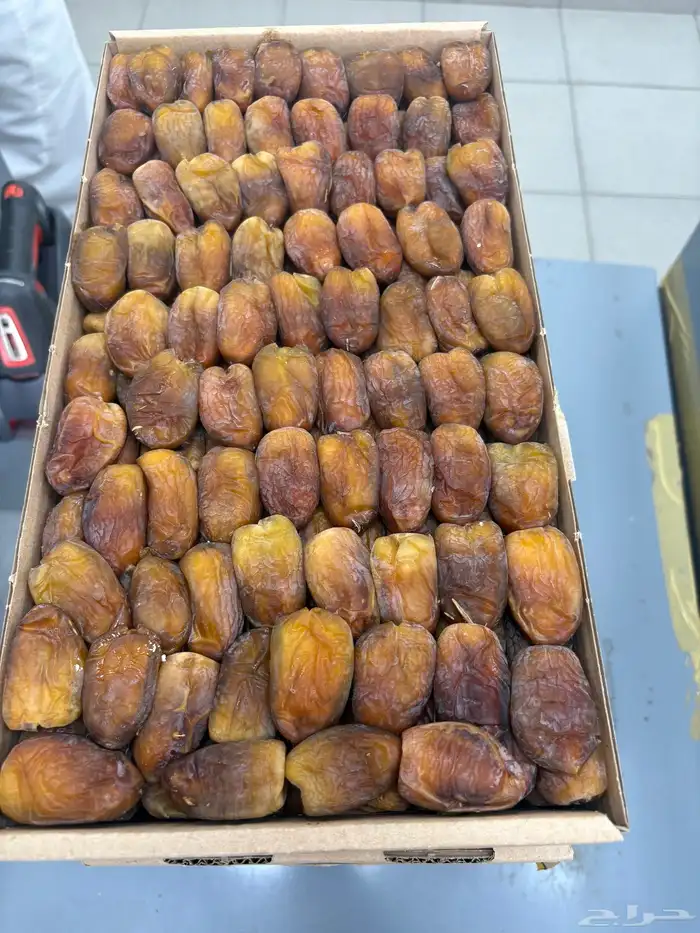 برني العيص 7