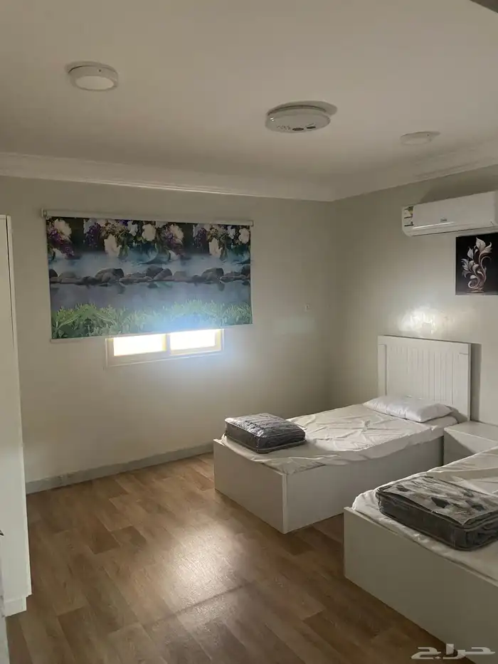 شقة مؤثثة وشاليهات للإيجار قرية ال عمران ببلقرن 3