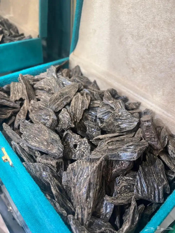 عود كلمنتان ( العود الأزرق) 1