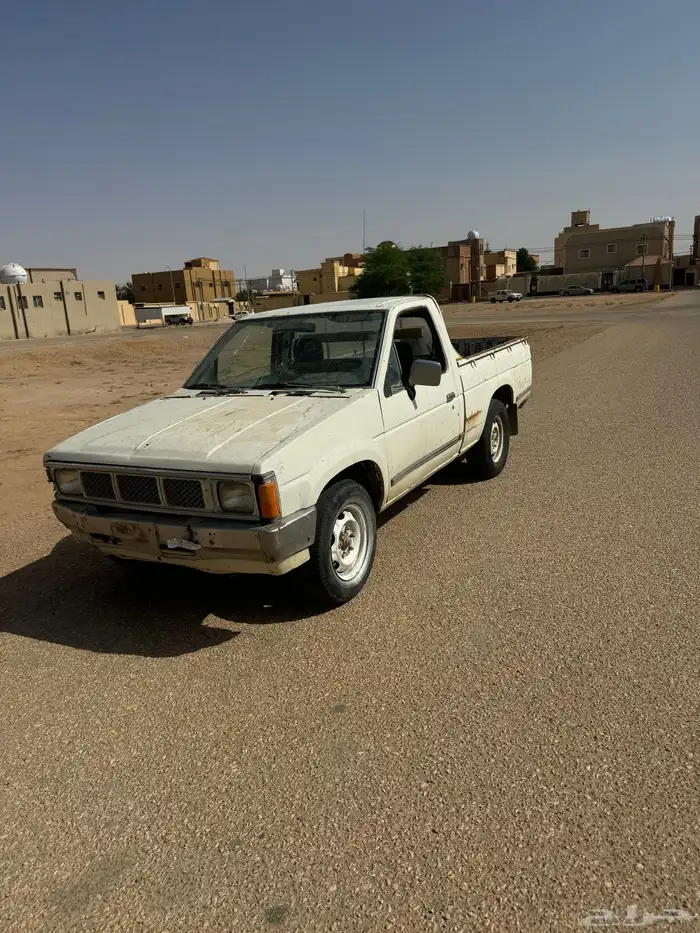 ددسن البيع 6