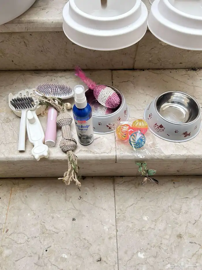 للبيع ادوات قطط 0