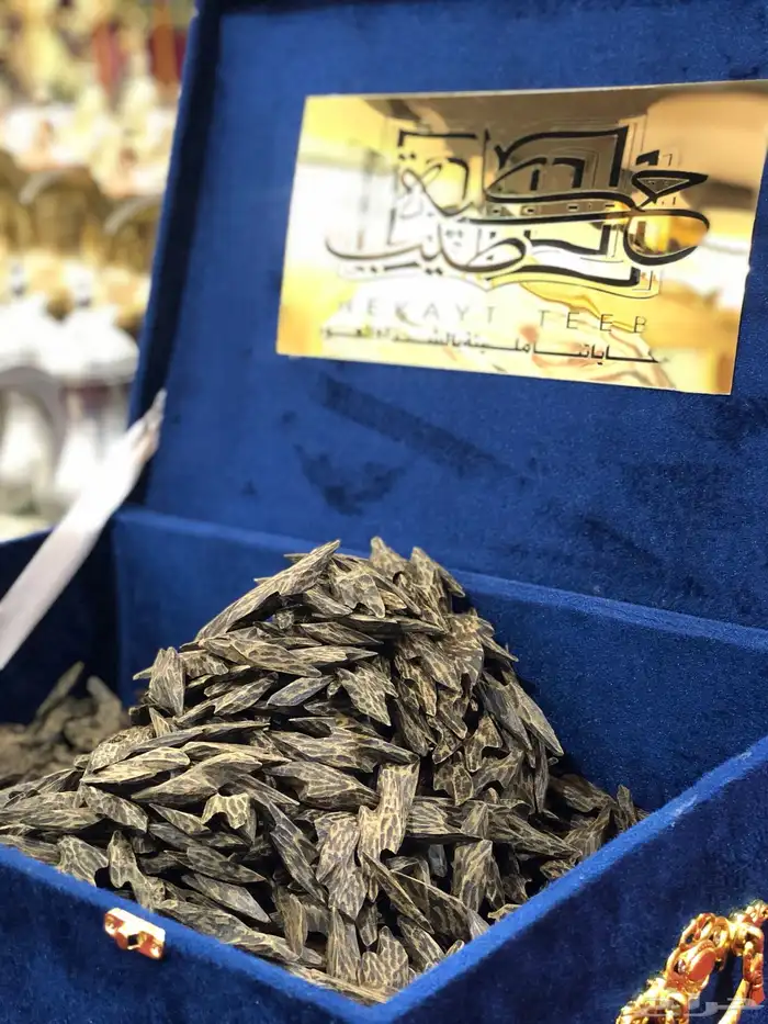 عود كمبودي ملكي طبيعي محسن فاخر (عرض اليوم الوطني) 4