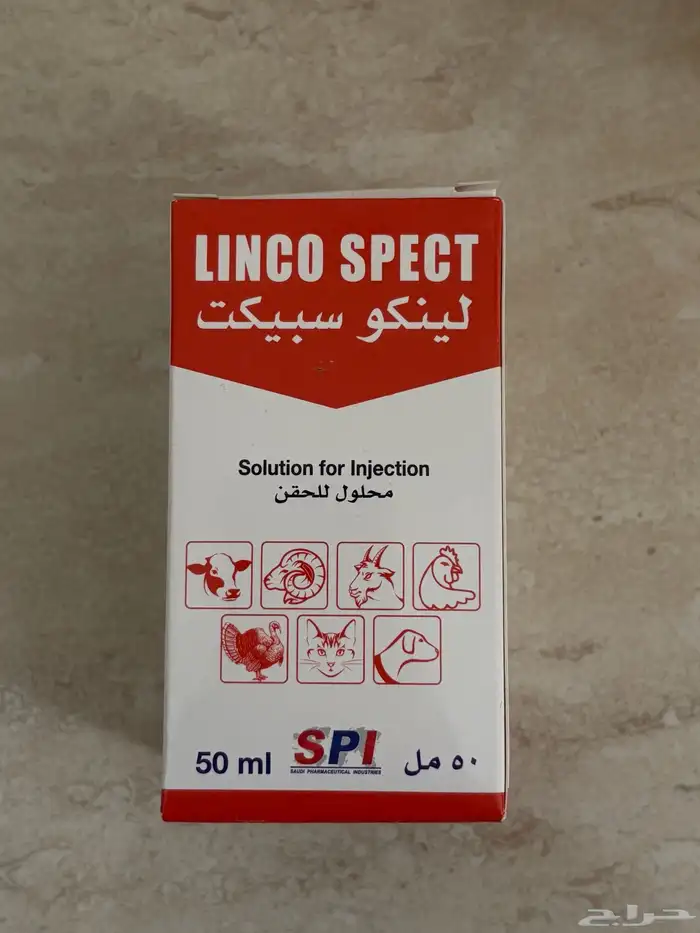 حوض سلحفاة مع كامل المعدات 4