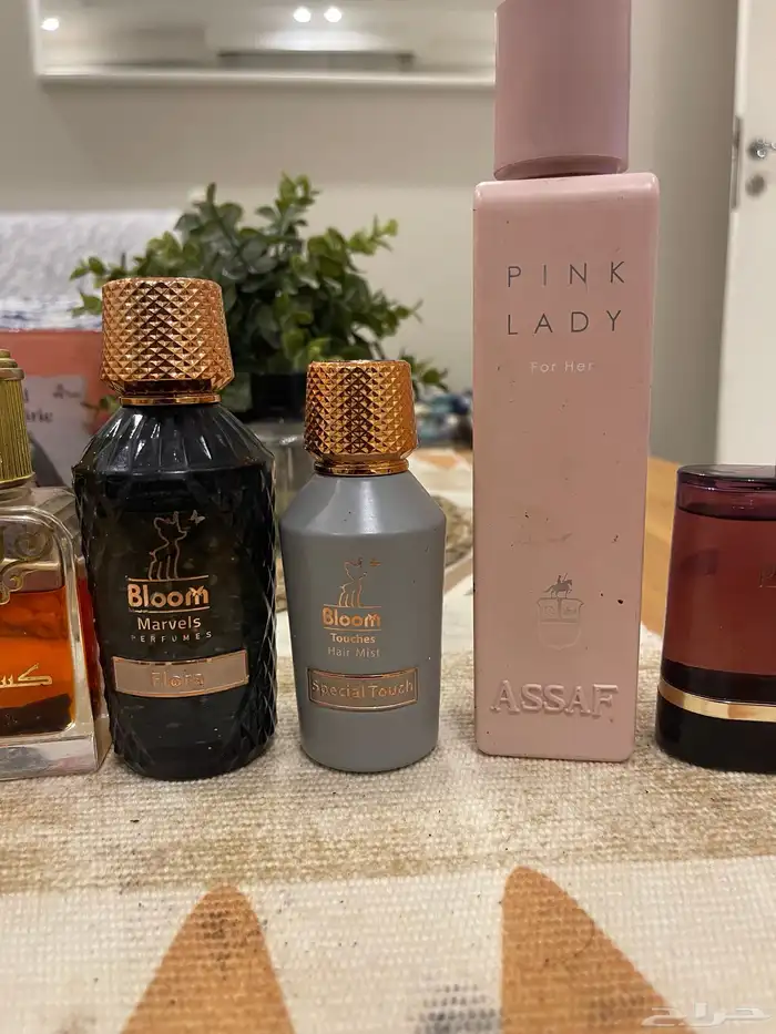 للبيع عشر عطور فخمه عربيه وفرنسيه وشرط اصليه 3