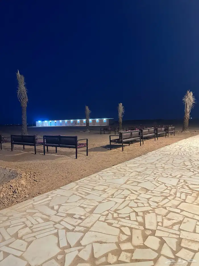 مربط القدية فرع الجلة وتبراك ايواء وتدريب الفروسية 5