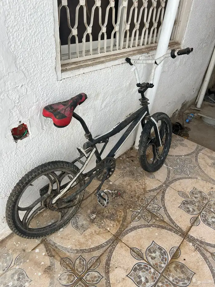 سيكل بدون فرامل وجنلط 2