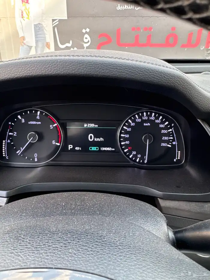 للبيع كادينزا 2020 K7 12