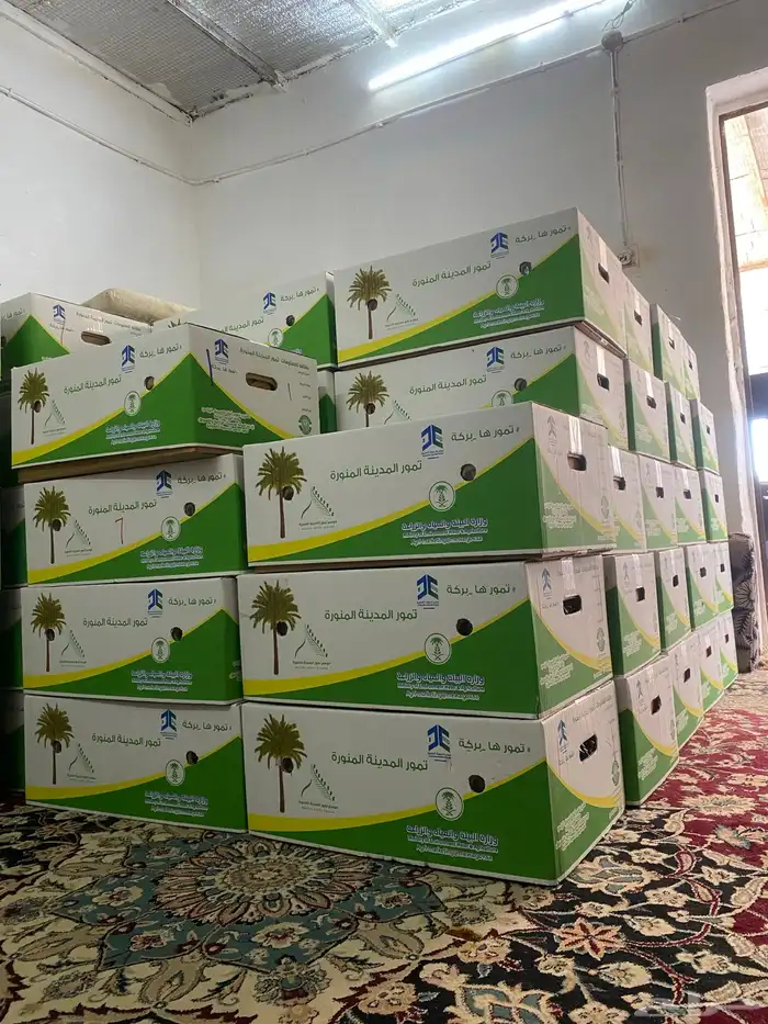 تمرعجوة المدينة 0