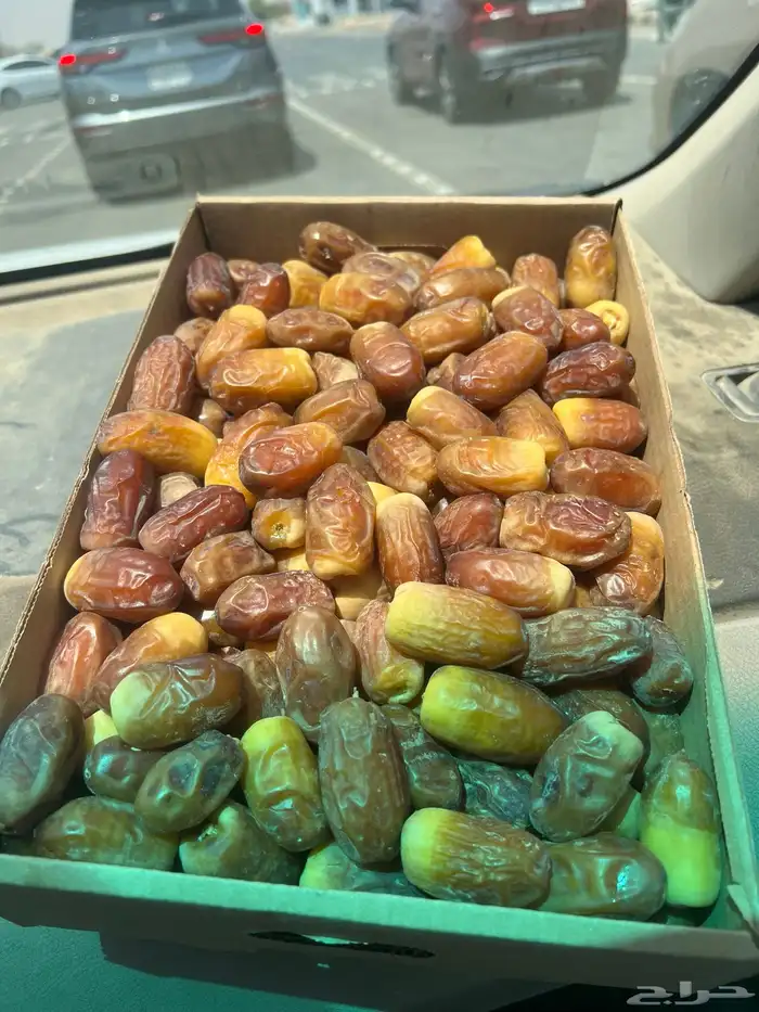 تمر صقعي رطب 1