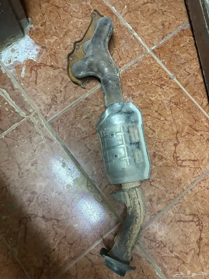 قزوز شاص مليان 0