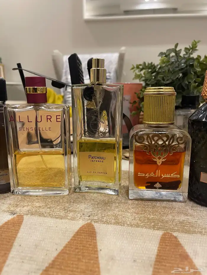 للبيع عشر عطور فخمه عربيه وفرنسيه وشرط اصليه 1