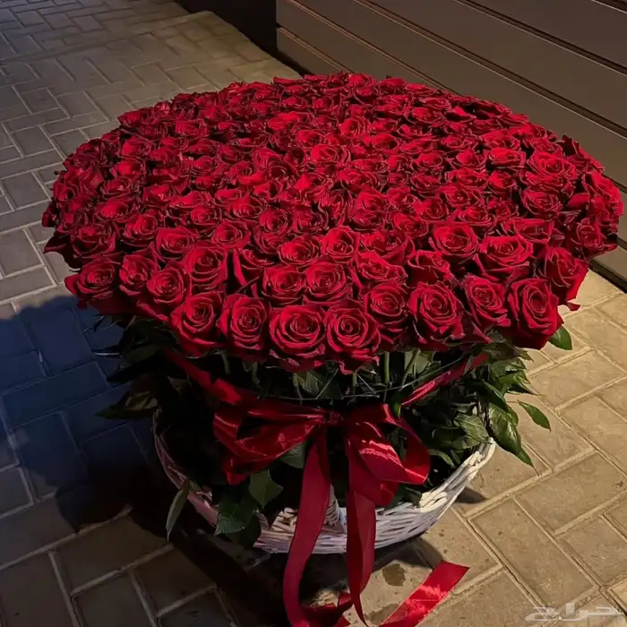 متجر هدايا خميس مشيط ابها 13