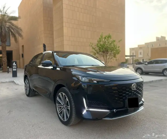 شانجان يوني كي وكاله 6