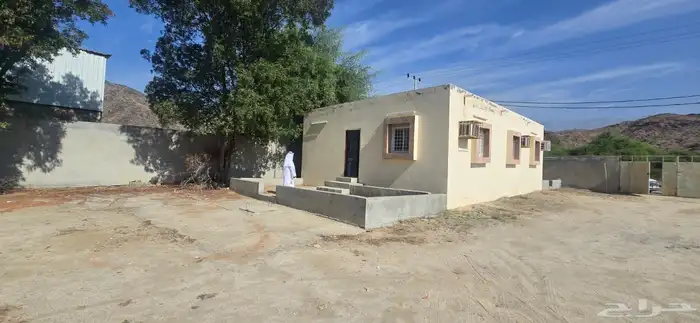 استراحة في الملح في المخواة 2