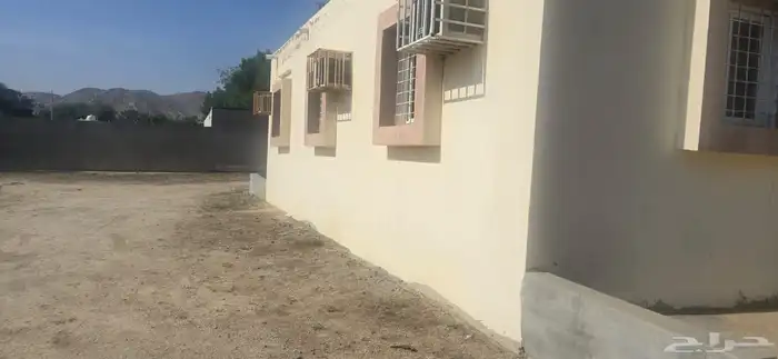 استراحة في الملح في المخواة 10