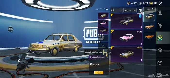 حساب ببجي 21