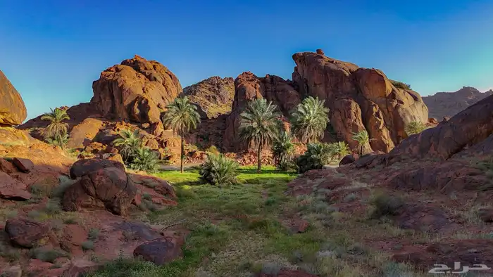 اقدم لكم خدمات التصوير 7