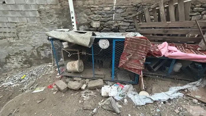 شبك دجاج حمام قفص دجاج حمام مترين 0