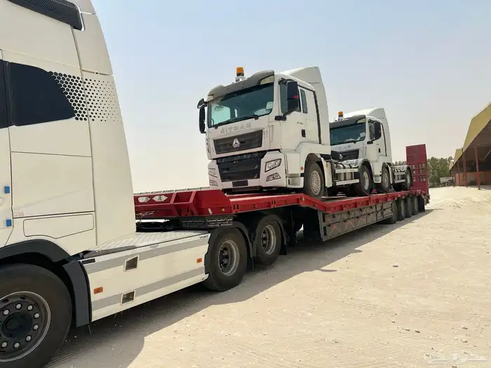 لوبد في القصيم 0