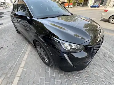 بيجو 2023 e-203 كهربائية بالكامل Peugeot index