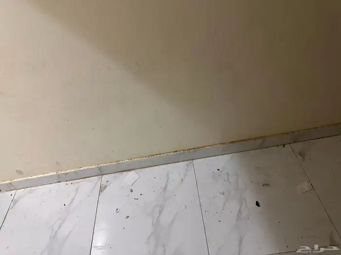 بيت 4