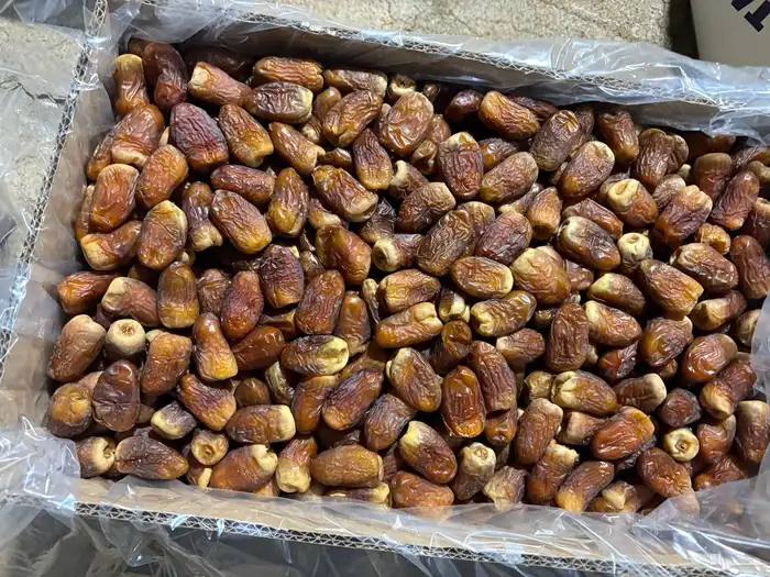 برني العيص 0