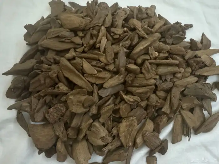 عود اصقون طبيعي صافي سوبرات 1