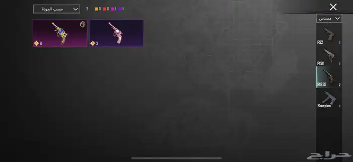 حساب ببجي 43