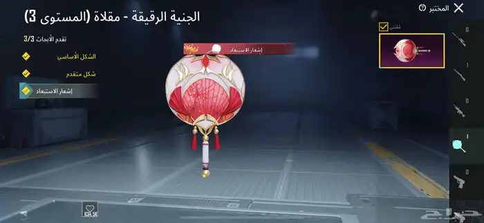 ببجي 13
