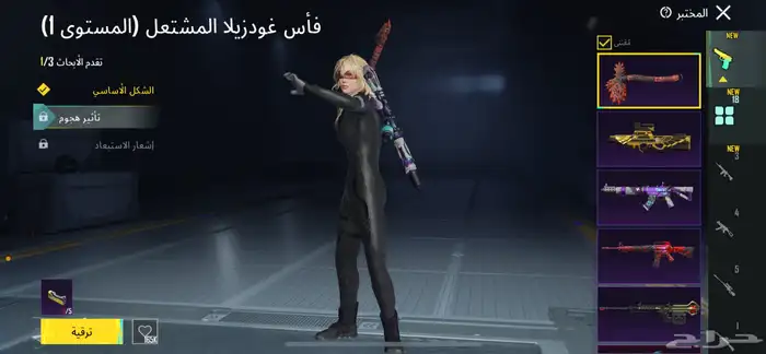 حساب ببجي قوي 17