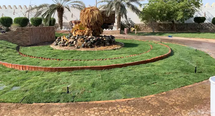 ثيل طبيعي او نجيله مشروطه مضمونه 17