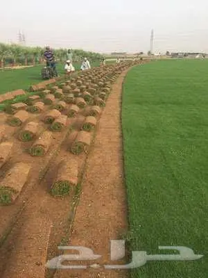تنسيق حدائق الرياض والخرج 15