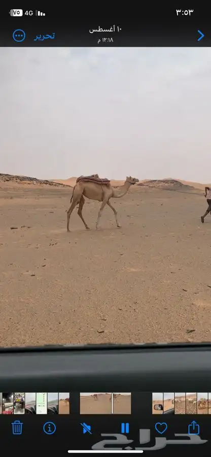 رحول لقيه 2