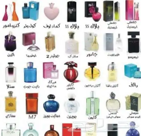 نوفر جميع انواع العطور باشكالها وانواعها باسعار الجمل 4