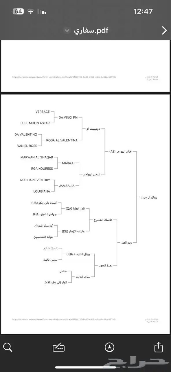 مهر عربي اصيل 1
