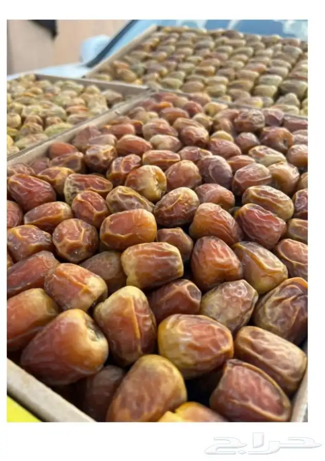 توفير تمور طازجه يوميا من سوق الجمله لتمور 4