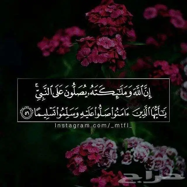 شراكة استثمار مضمونة باذن الله عالية الارباح 0