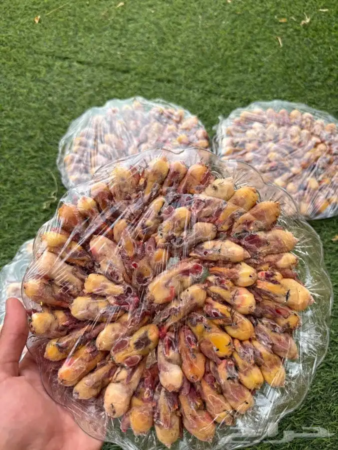 للبيع دخل 2