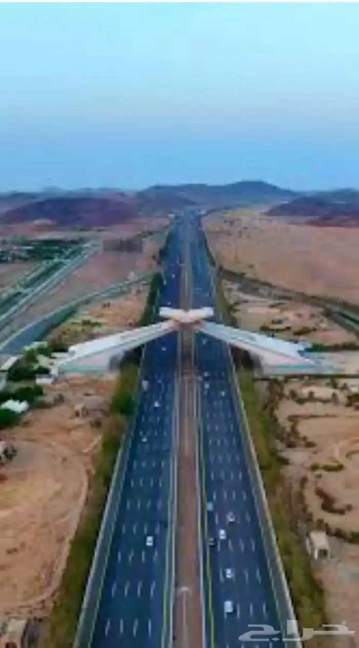 ابحث عن ارض علي طريق الهجرة جده و مكه 0