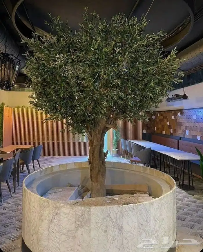 أعمال زراعة وصيانة للبيوت والمشاريع التجارية 1